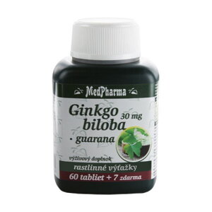 Gingko